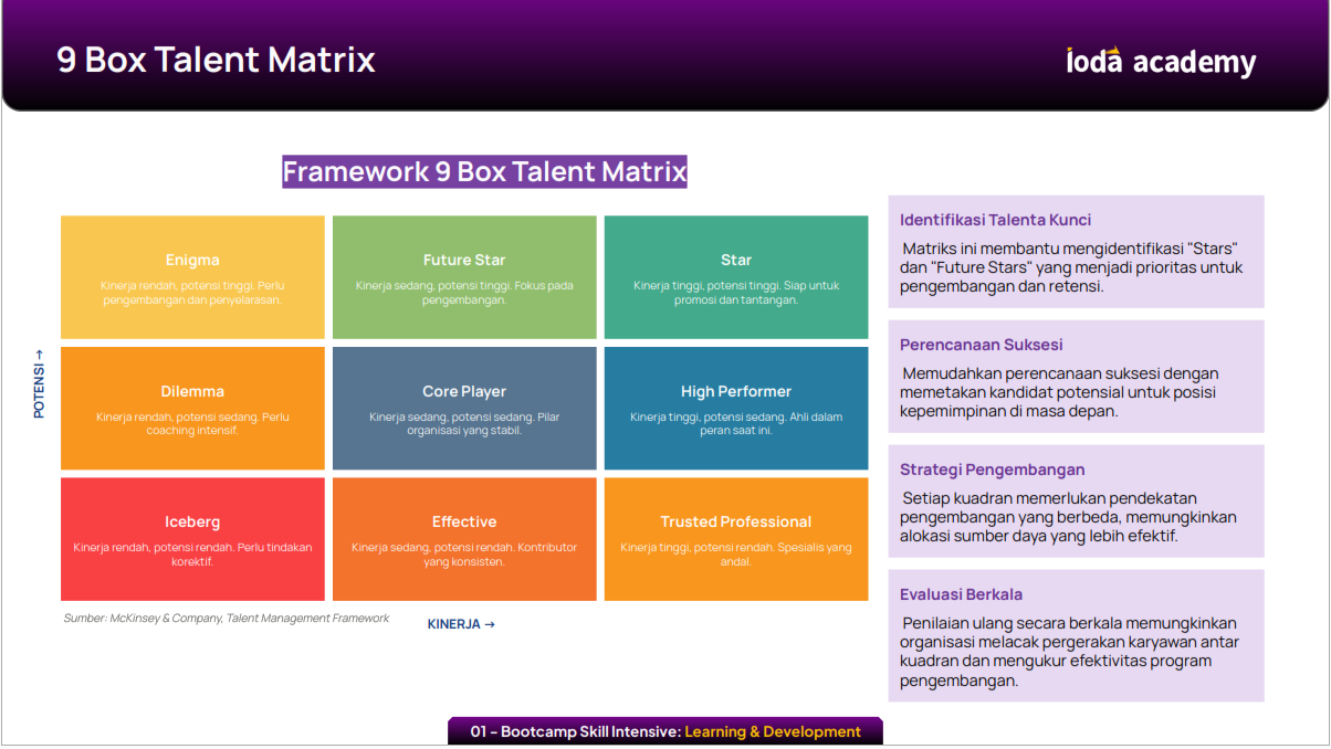 Framework 9 Box Talent Matrix